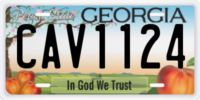 GA license plate CAV1124