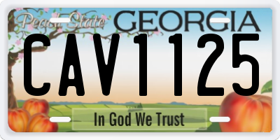 GA license plate CAV1125