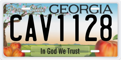 GA license plate CAV1128