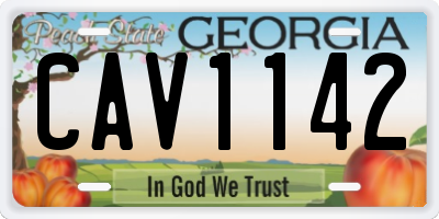 GA license plate CAV1142