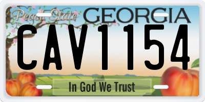 GA license plate CAV1154