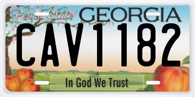 GA license plate CAV1182
