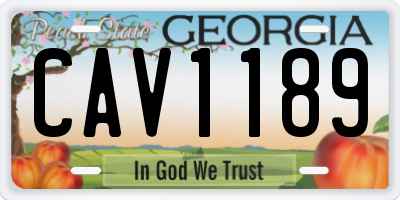 GA license plate CAV1189