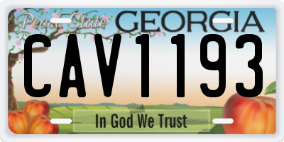 GA license plate CAV1193