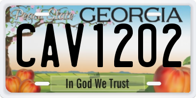 GA license plate CAV1202