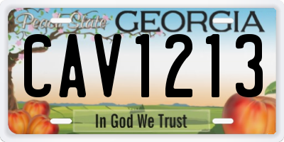 GA license plate CAV1213