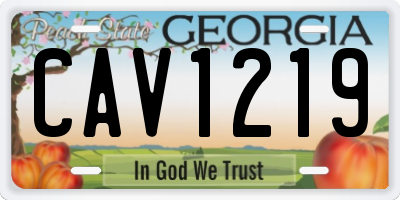 GA license plate CAV1219