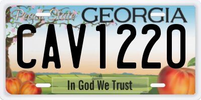 GA license plate CAV1220