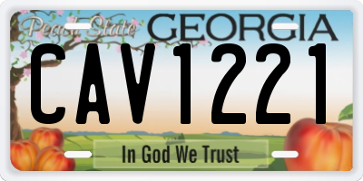 GA license plate CAV1221