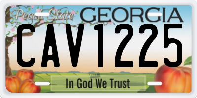 GA license plate CAV1225