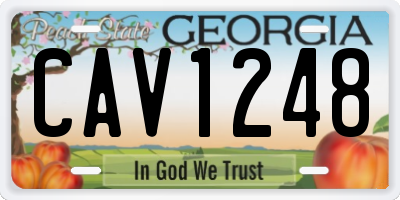 GA license plate CAV1248