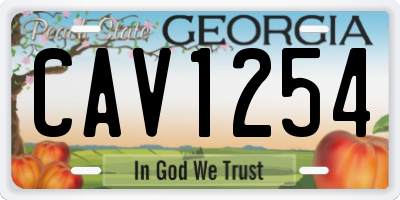 GA license plate CAV1254