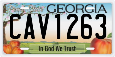 GA license plate CAV1263