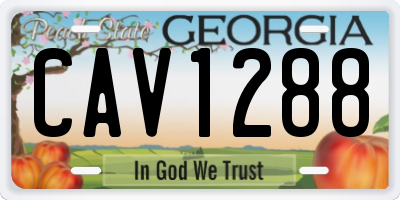 GA license plate CAV1288