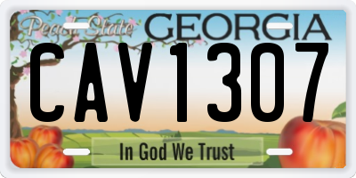 GA license plate CAV1307