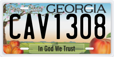 GA license plate CAV1308