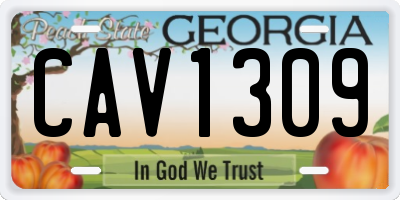 GA license plate CAV1309