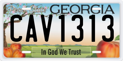 GA license plate CAV1313