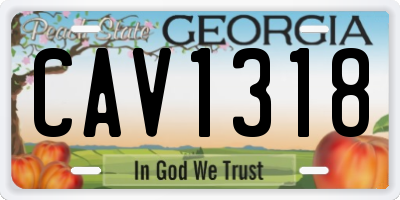 GA license plate CAV1318