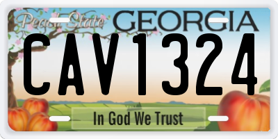 GA license plate CAV1324