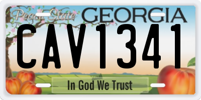 GA license plate CAV1341