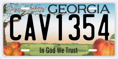 GA license plate CAV1354