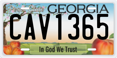 GA license plate CAV1365