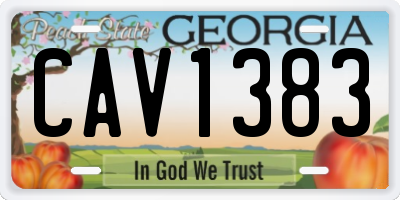 GA license plate CAV1383