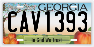 GA license plate CAV1393