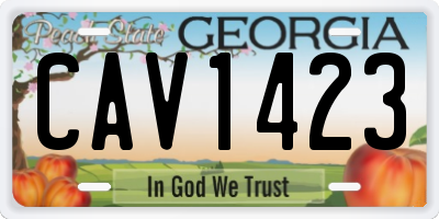 GA license plate CAV1423
