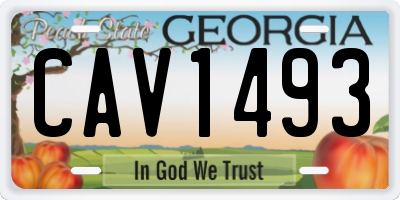 GA license plate CAV1493