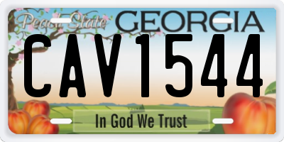 GA license plate CAV1544