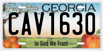 GA license plate CAV1630