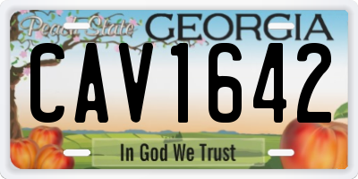 GA license plate CAV1642