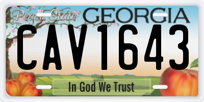 GA license plate CAV1643