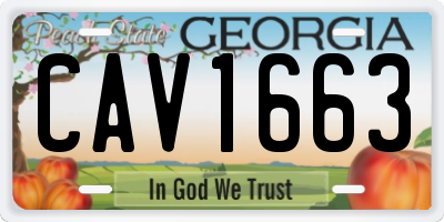 GA license plate CAV1663