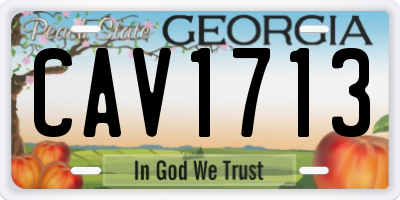 GA license plate CAV1713