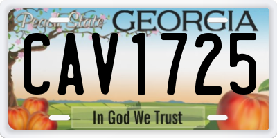 GA license plate CAV1725