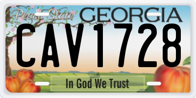 GA license plate CAV1728