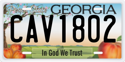 GA license plate CAV1802