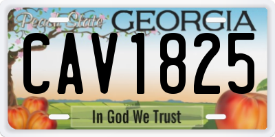 GA license plate CAV1825