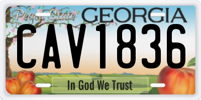 GA license plate CAV1836