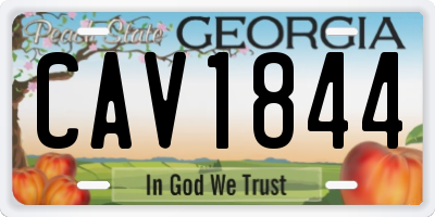 GA license plate CAV1844
