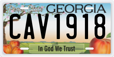 GA license plate CAV1918