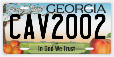 GA license plate CAV2002