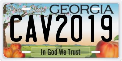 GA license plate CAV2019