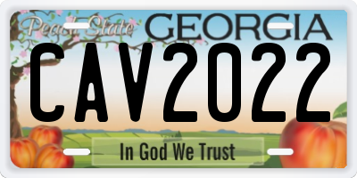 GA license plate CAV2022