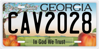 GA license plate CAV2028
