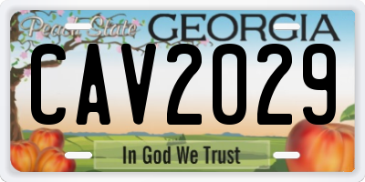 GA license plate CAV2029