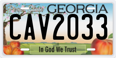 GA license plate CAV2033